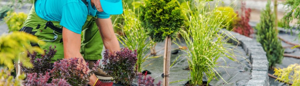 How Landscape Construction Could Transform Your Garden