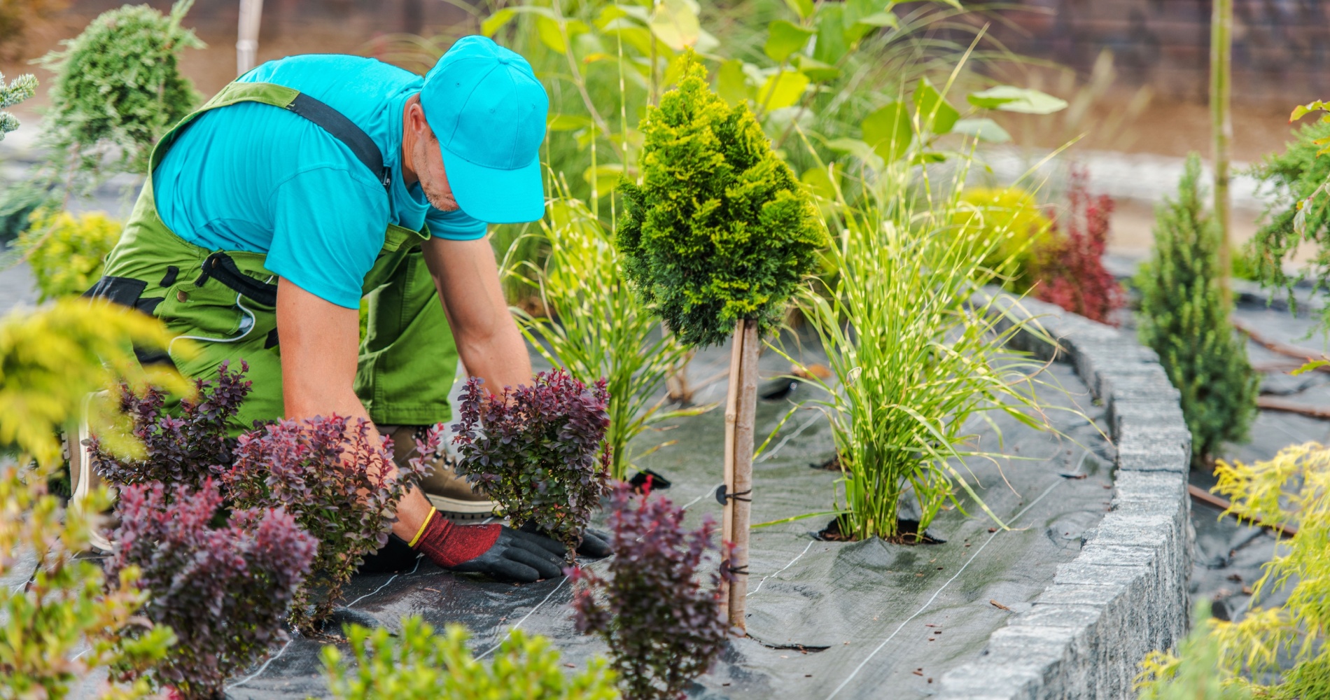 How Landscape Construction Could Transform Your Garden